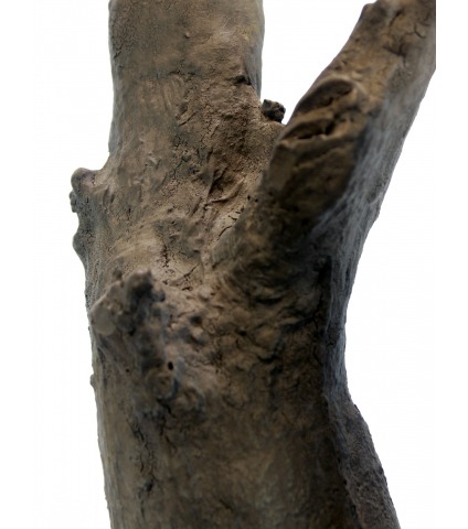 Olivier artificiel géant