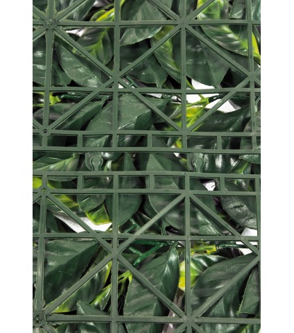 Plaque de cornouiller