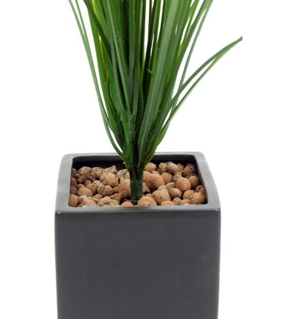 Pot