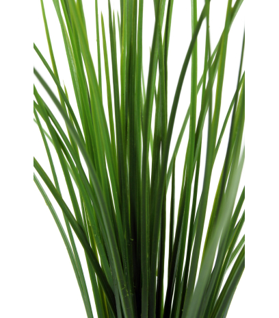 Herbe fine artificielle