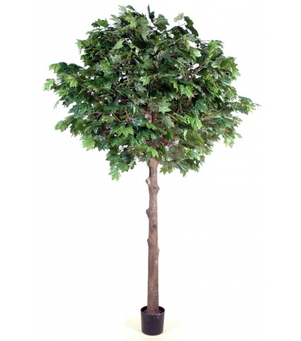 Platane artificiel tête