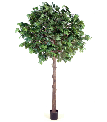 Platane artificiel tête