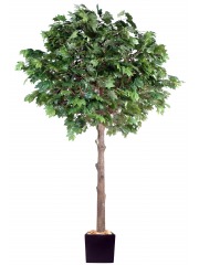 Platane artificiel tête