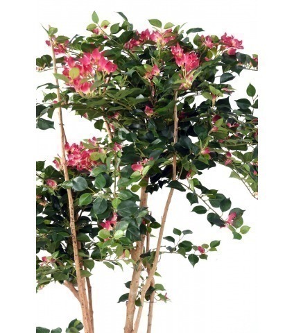 Bougainvillier artificiel fuchsia