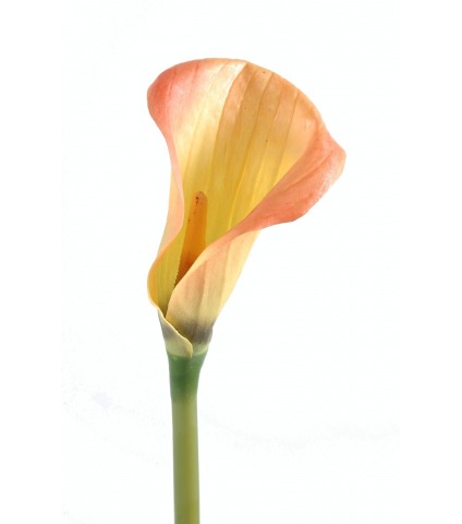 Fleur de calla artificielle