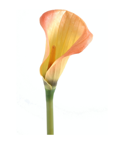 Fleur de calla artificielle