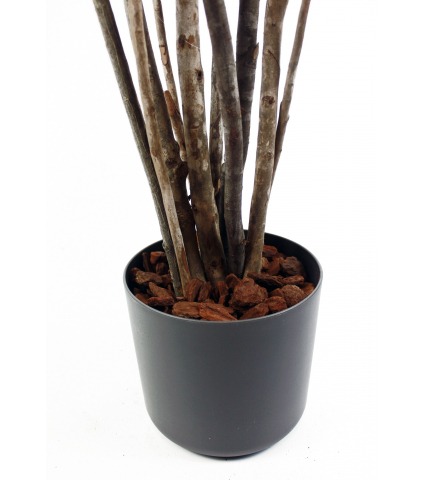 Aralia ming artificiel