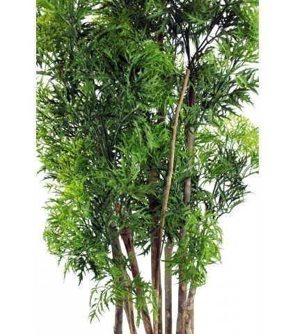 Aralia ming artificiel