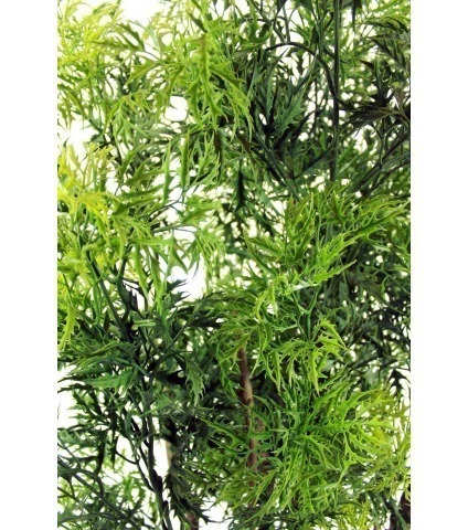 Aralia ming artificiel