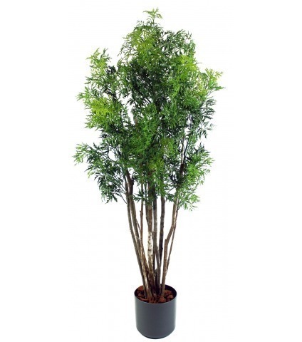 Aralia ming artificiel