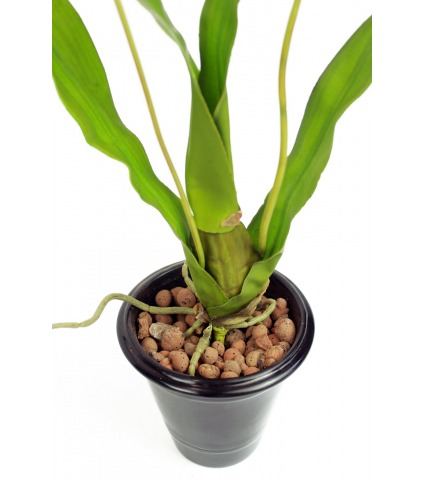 Cambria artificielle jaune