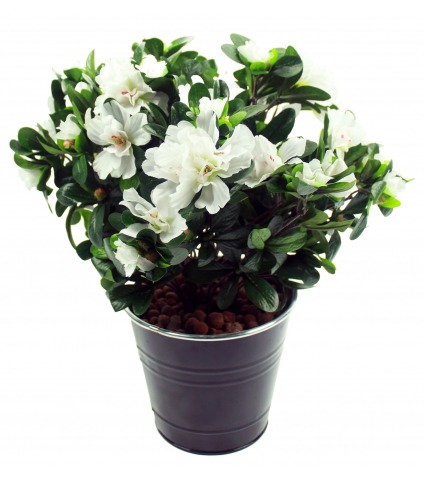 Azalée blanche artificielle