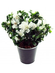 Azalée blanche artificielle