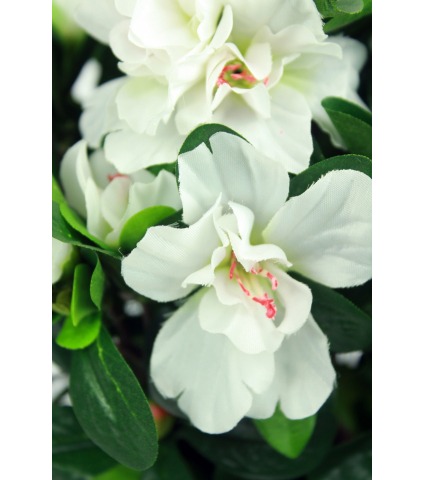Azalée blanche artificielle