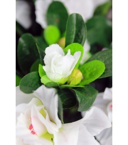 Azalée blanche artificielle