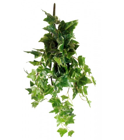 Lierre commun artificiel