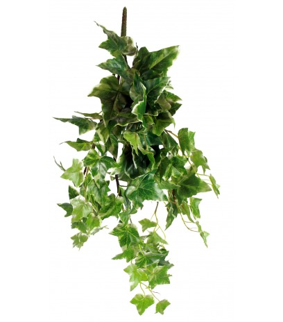 Lierre commun artificiel