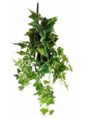 Lierre commun artificiel