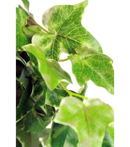 Lierre commun artificiel