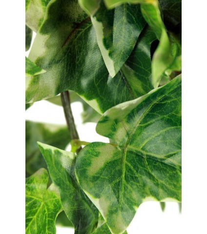 Lierre commun artificiel