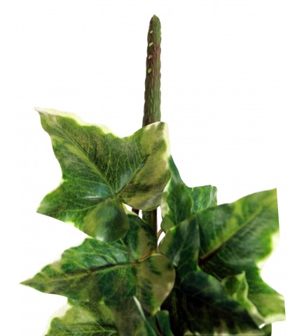 Lierre commun artificiel