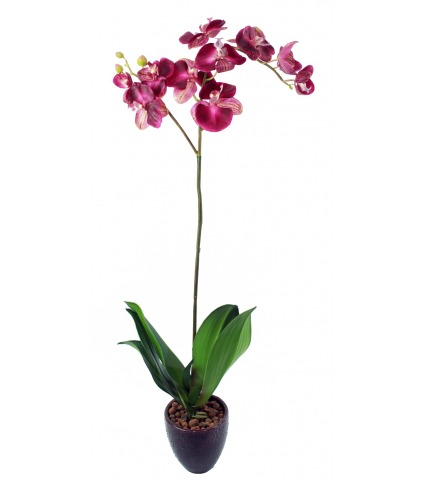 Phalaenopsis artificielle simple