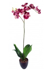 Phalaenopsis artificielle simple