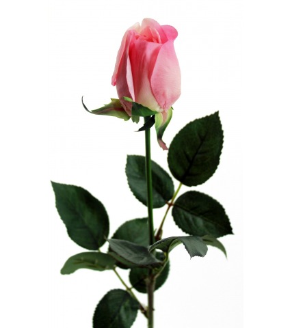 Rose artificielle claude monet