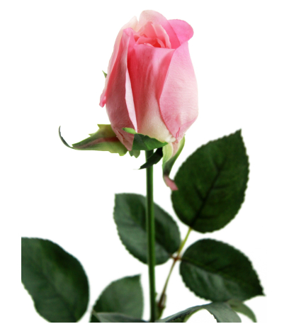 Rose artificielle claude monet