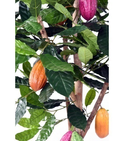 Cacaoyer artificiel