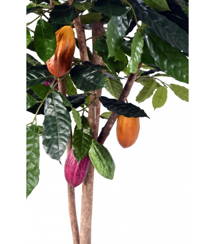 Cacaoyer artificiel