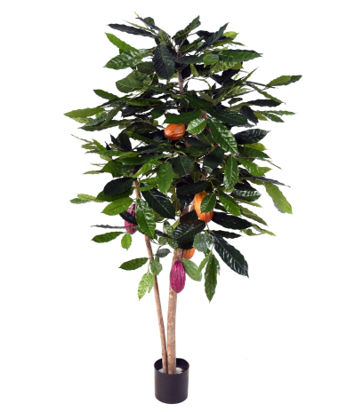 Cacaoyer artificiel