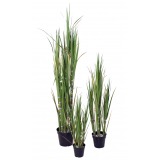 Canne à sucre artificielle