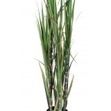Canne à sucre artificielle