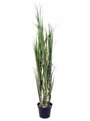 Canne à sucre artificielle