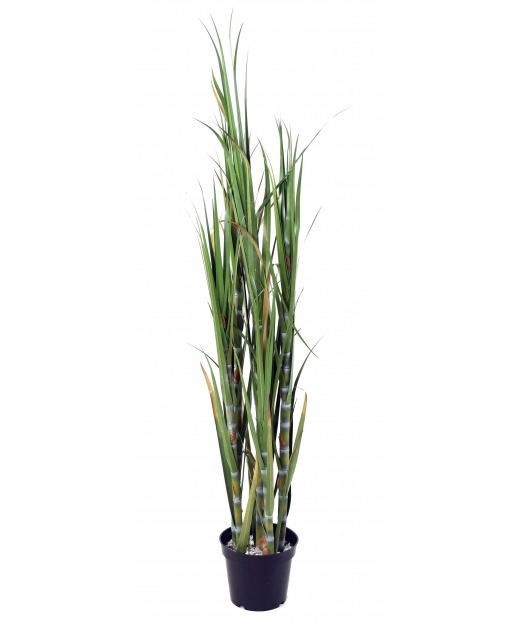 Canne à sucre artificielle