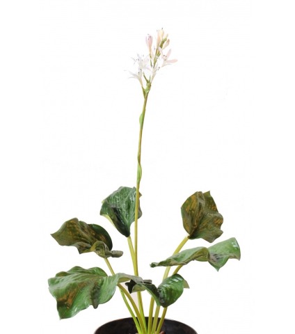 Hosta artificiel fleuri