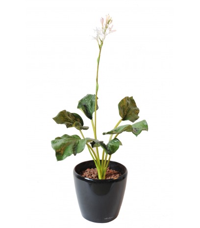 Hosta artificiel fleuri