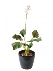 Hosta artificiel fleuri