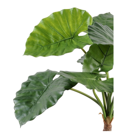Alocasia calidora artificiel