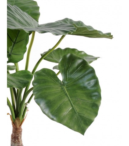 Alocasia calidora artificiel