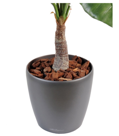 Alocasia calidora artificiel