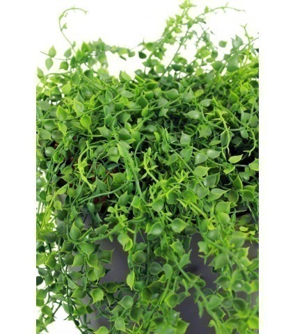 Chute de callisie artificielle