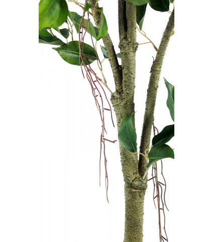 Ficus artificiel tronc blanc
