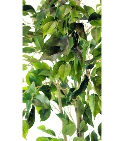 Ficus artificiel tronc blanc