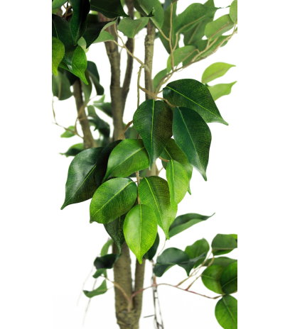 Ficus artificiel tronc blanc