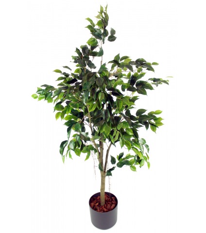 Ficus artificiel tronc blanc