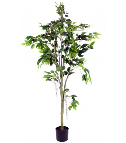 Ficus artificiel tronc blanc