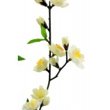 Branche de cerisier blanc