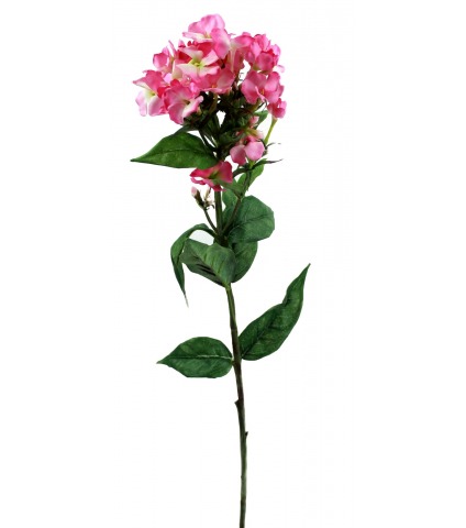 Phlox artificiel rose